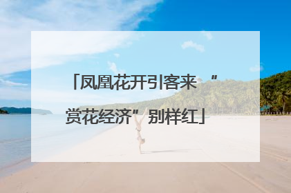 凤凰花开引客来 “赏花经济”别样红