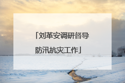 刘革安调研督导防汛抗灾工作