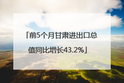 前5个月甘肃进出口总值同比增长43.2%