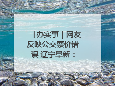 办实事｜网友反映公交票价错误 辽宁阜新：及时核查更正 加强实时巡检