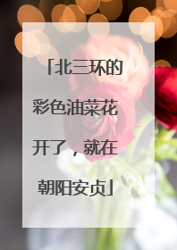 北三环的彩色油菜花开了，就在朝阳安贞