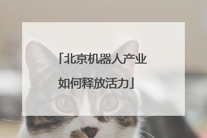 北京机器人产业如何释放活力