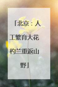 北京：人工繁育大花杓兰重返山野