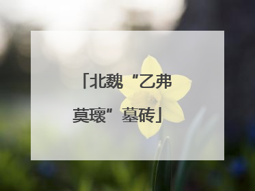 北魏“乙弗莫瓌”墓砖