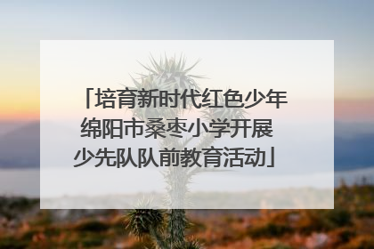 培育新时代红色少年 绵阳市桑枣小学开展少先队队前教育活动