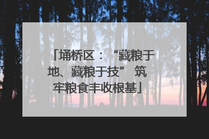 埇桥区：“藏粮于地、藏粮于技” 筑牢粮食丰收根基