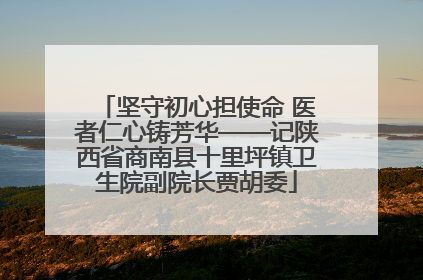 坚守初心担使命 医者仁心铸芳华——记陕西省商南县十里坪镇卫生院副院长贾胡委
