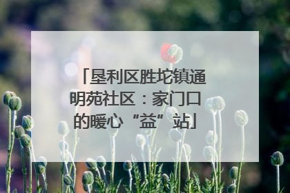 垦利区胜坨镇通明苑社区：家门口的暖心“益”站