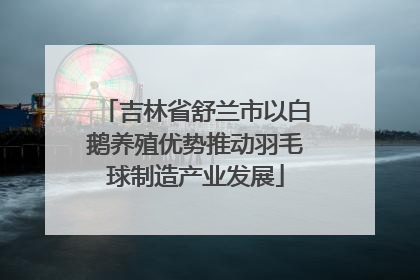 吉林省舒兰市以白鹅养殖优势推动羽毛球制造产业发展