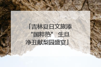 吉林夏日文旅添“国粹热” 生旦净丑献梨园盛宴