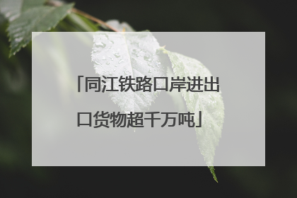 同江铁路口岸进出口货物超千万吨