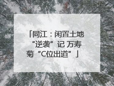 同江：闲置土地“逆袭”记 万寿菊“C位出道”