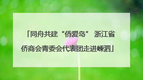 同舟共建“侨爱岛” 浙江省侨商会青委会代表团走进嵊泗