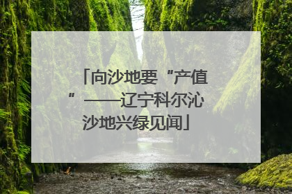 向沙地要“产值”——辽宁科尔沁沙地兴绿见闻