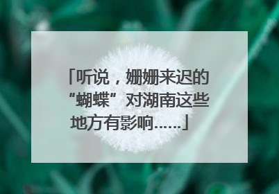 听说，姗姗来迟的“蝴蝶”对湖南这些地方有影响……