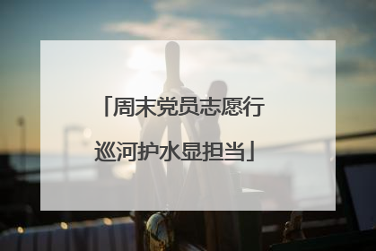 周末党员志愿行 巡河护水显担当