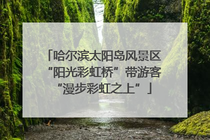 哈尔滨太阳岛风景区“阳光彩虹桥”带游客“漫步彩虹之上”