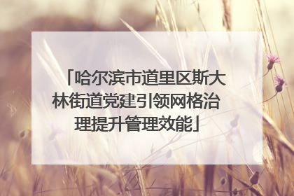 哈尔滨市道里区斯大林街道党建引领网格治理提升管理效能