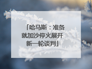 哈马斯：准备就加沙停火展开新一轮谈判