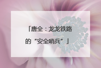 唐全：龙龙铁路的“安全哨兵”