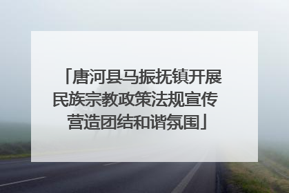 唐河县马振抚镇开展民族宗教政策法规宣传 营造团结和谐氛围