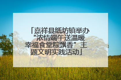 嘉祥县纸坊镇举办“浓情端午送温暖 幸福食堂粽飘香”主题文明实践活动