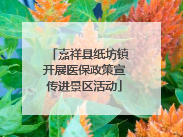 嘉祥县纸坊镇开展医保政策宣传进景区活动