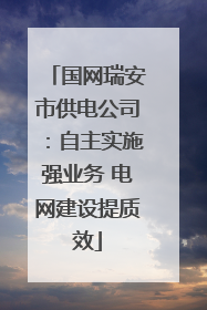 国网瑞安市供电公司：自主实施强业务 电网建设提质效