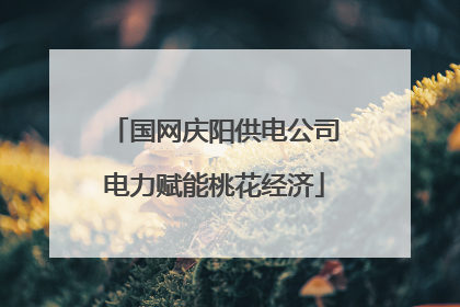 国网庆阳供电公司电力赋能桃花经济