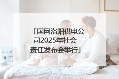 国网洛阳供电公司2025年社会责任发布会举行