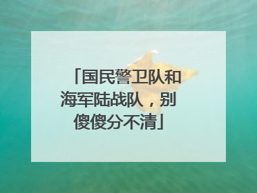 国民警卫队和海军陆战队，别傻傻分不清