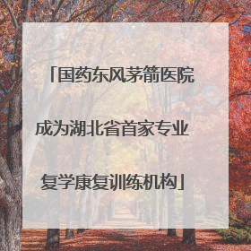 国药东风茅箭医院成为湖北省首家专业复学康复训练机构