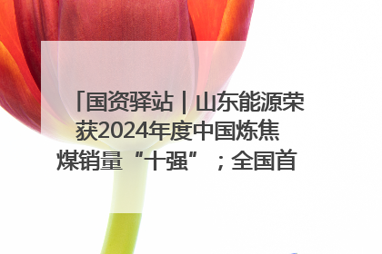 国资驿站｜山东能源荣获2024年度中国炼焦煤销量“十强”；全国首例铁路盖上智慧物流园钢结构主体完工