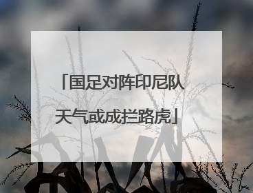 国足对阵印尼队 天气或成拦路虎
