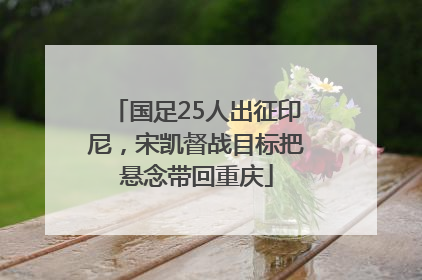 国足25人出征印尼，宋凯督战目标把悬念带回重庆