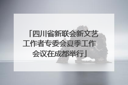 四川省新联会新文艺工作者专委会夏季工作会议在成都举行