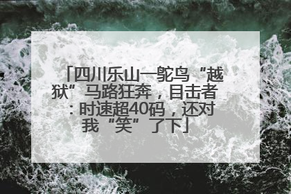 四川乐山一鸵鸟“越狱”马路狂奔，目击者：时速超40码，还对我“笑”了下