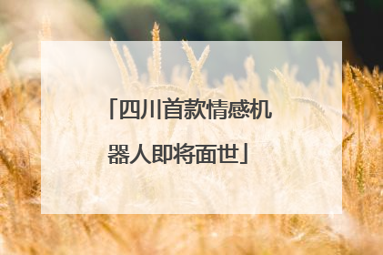 四川首款情感机器人即将面世