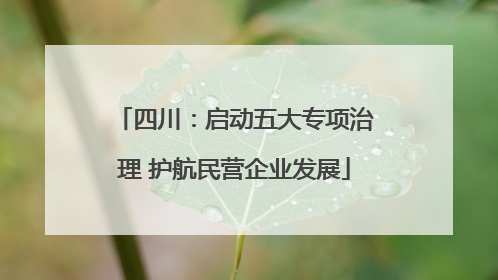 四川：启动五大专项治理 护航民营企业发展