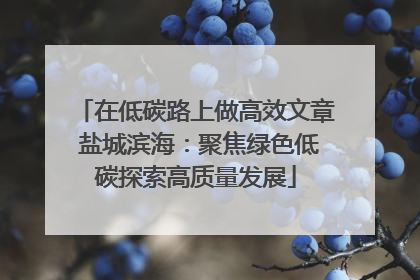 在低碳路上做高效文章 盐城滨海：聚焦绿色低碳探索高质量发展