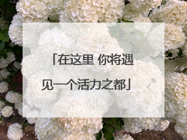在这里 你将遇见一个活力之都