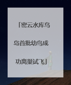 密云水库鸟岛首批幼鸟成功离巢试飞