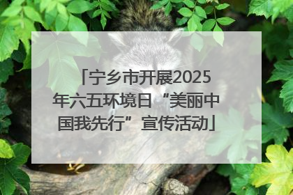 宁乡市开展2025年六五环境日“美丽中国我先行”宣传活动