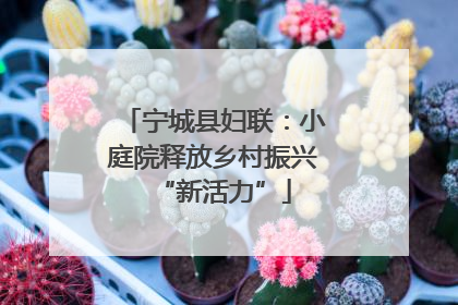 宁城县妇联：小庭院释放乡村振兴“新活力”