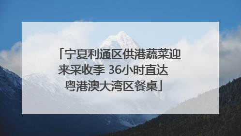 宁夏利通区供港蔬菜迎来采收季 36小时直达粤港澳大湾区餐桌