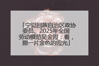 宁夏回族自治区政协委员、2025年全国劳动模范吴金霞：看，那一片金色的霞光