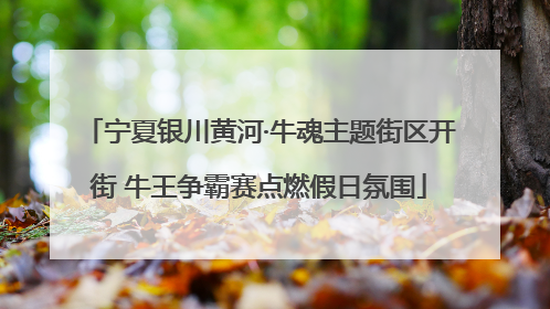 宁夏银川黄河·牛魂主题街区开街 牛王争霸赛点燃假日氛围
