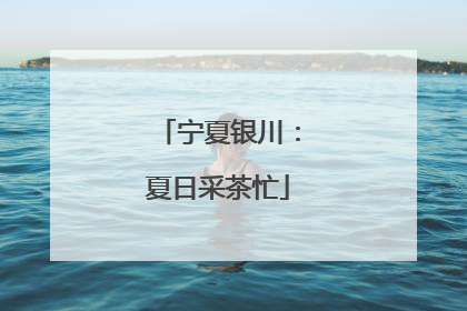 宁夏银川：夏日采茶忙