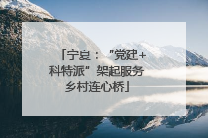 宁夏：“党建+科特派”架起服务乡村连心桥
