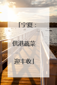 宁夏：供港蔬菜迎丰收